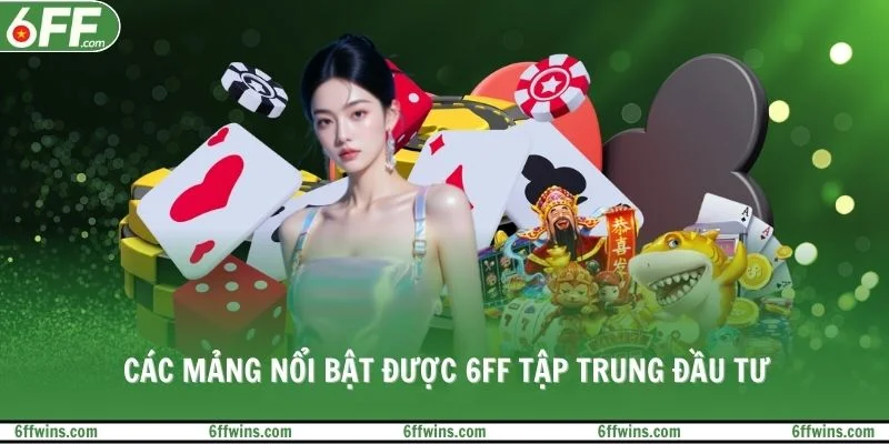 Các mảng nổi bật được 6FF tập trung đầu tư