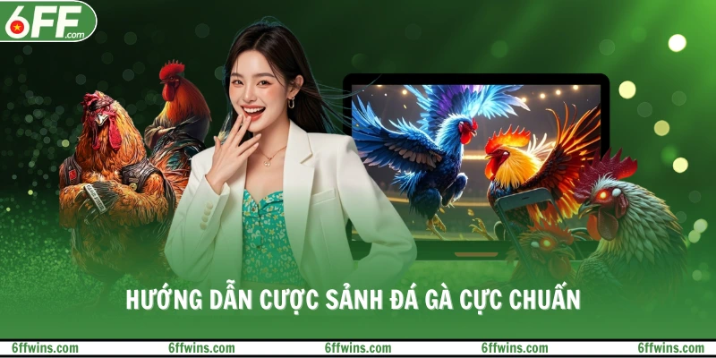 Hướng dẫn cược sảnh đá gà cực chuẩn