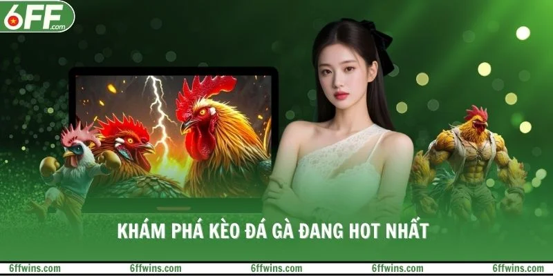 Khám phá kèo đá gà đang hot nhất