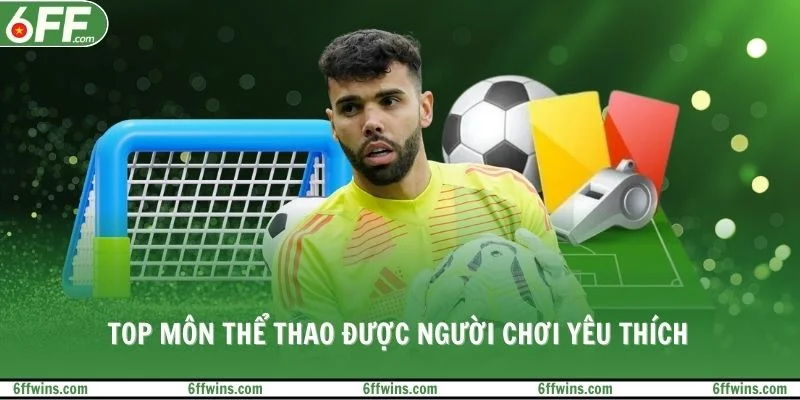 Top môn thể thao được người chơi yêu thích